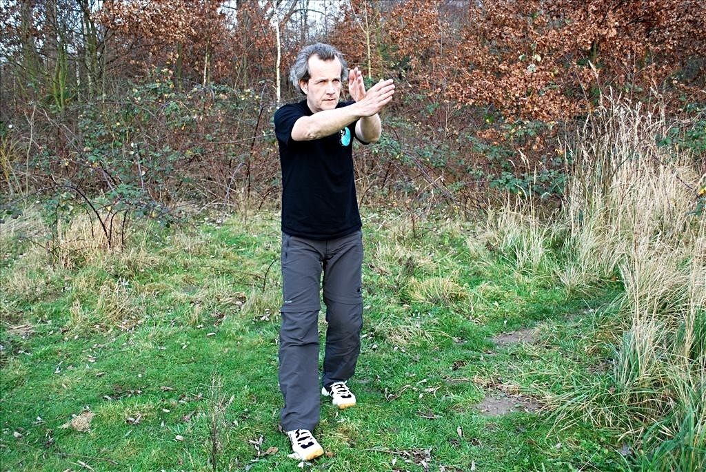 Wu Tai Chi – Einzelbild aus – Siebengestirn   – Shang Bu Qi Xing