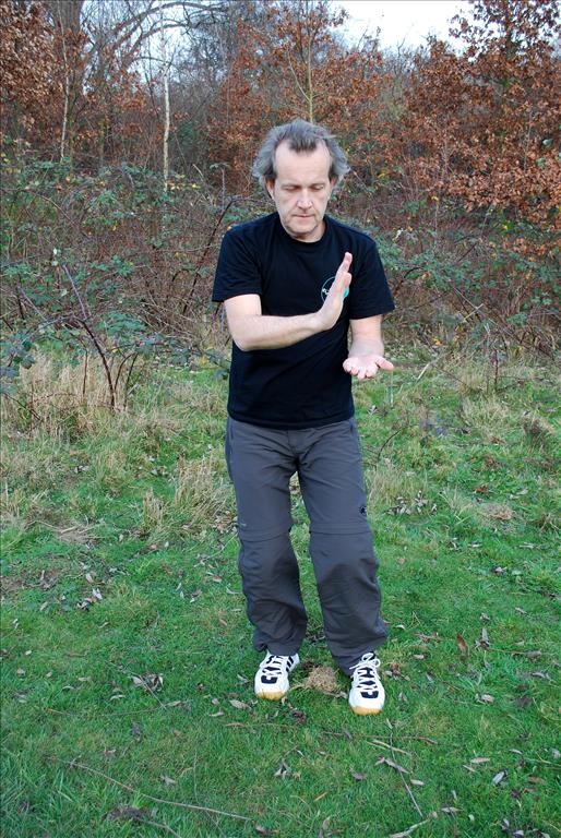 Wu Tai Chi – Einzelbild aus – Von oben erkunden (links)   – (Zuo) Gao Tan Ma