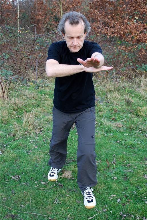 Wu Tai Chi – Einzelbild aus – Mit der Handfläche nach vorne   – Ying Mian Zhang