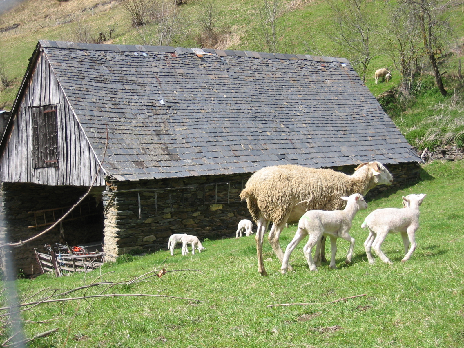 Bergerie au village de Laspé