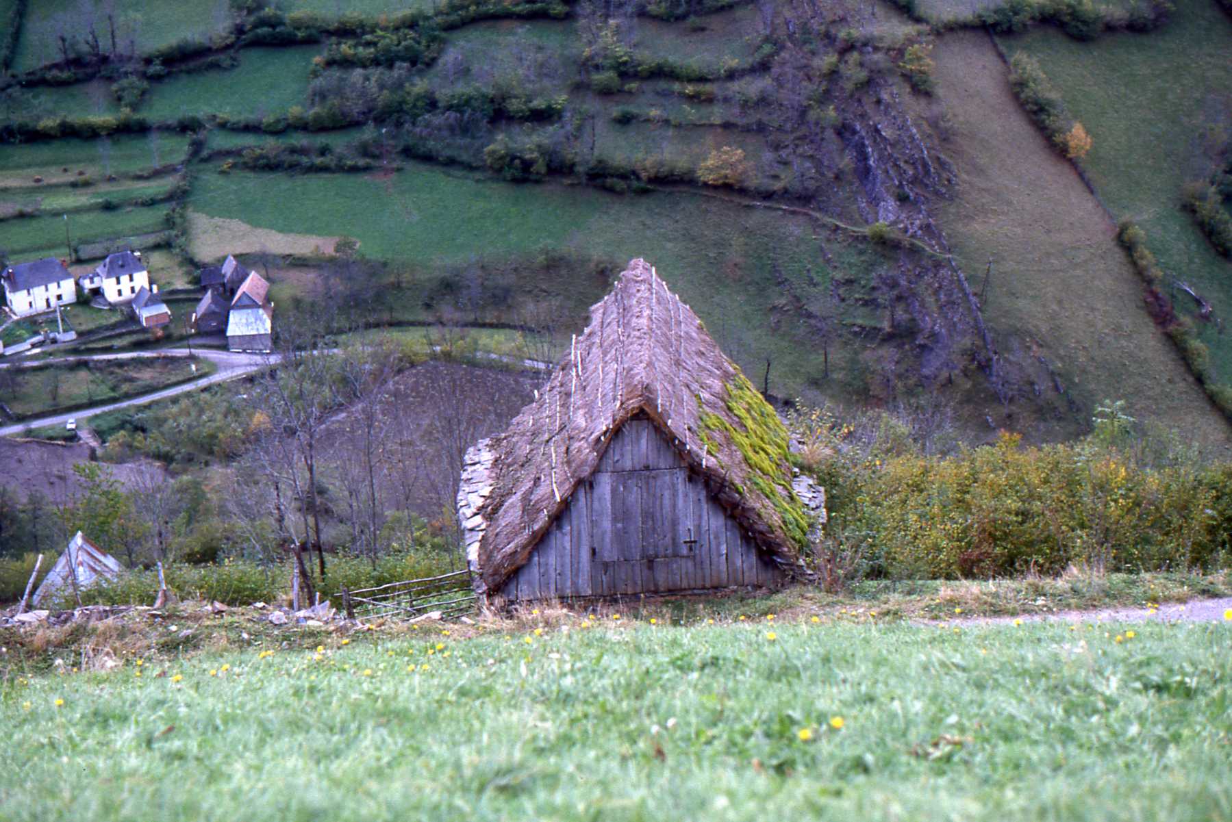 Grange en chaume