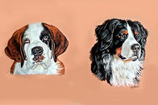Tarifs Portraits Aux Pastels Chiens Chats Peintre