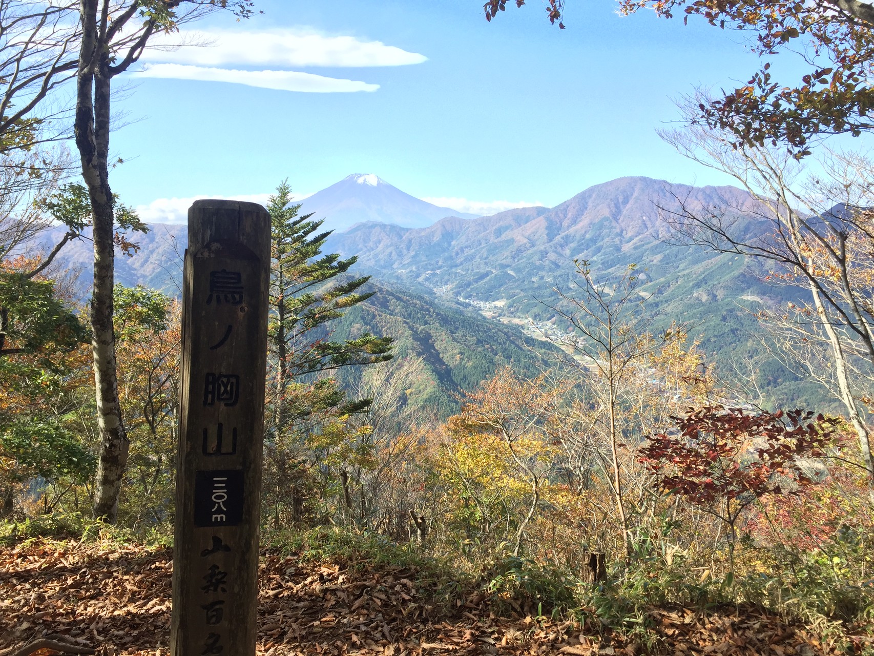 鳥ノ胸山からの景色は見物です！