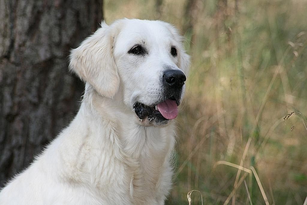 unsere kleine Schönheit