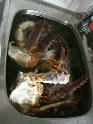 Vom Oberfischer Leib gabs noch ein paar King Crabs
