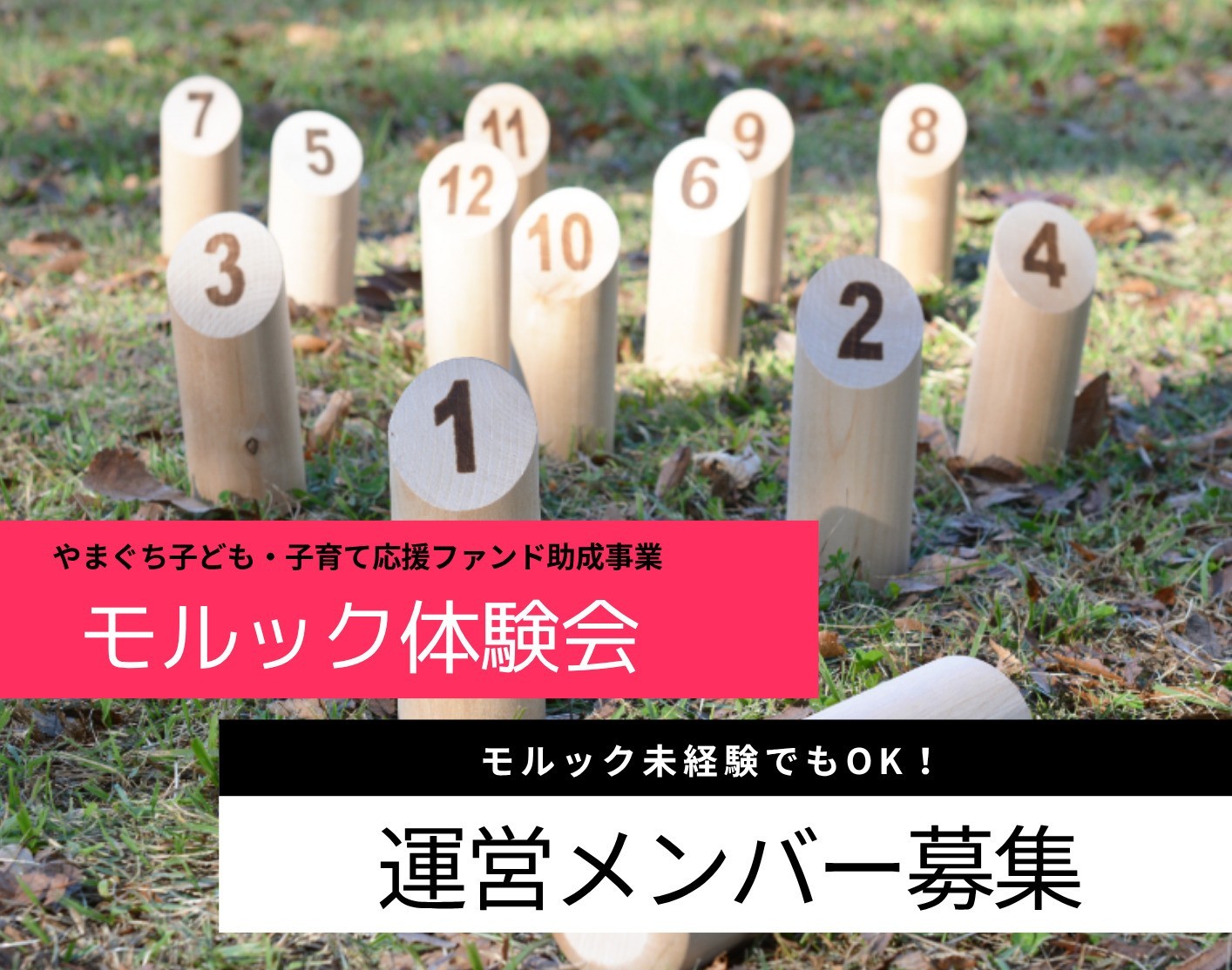 新着！【おひさまカフェ】モルック体験会運営メンバー募集