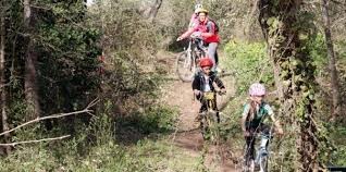 Jeux de piste ALSH en forêt de Crécy-en-Ponthieu et en Baie de Somme