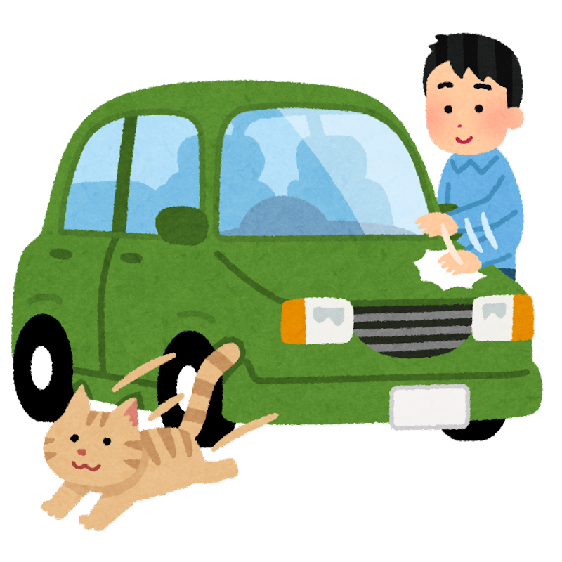 暖かくても猫バンバンはした方がいい！！