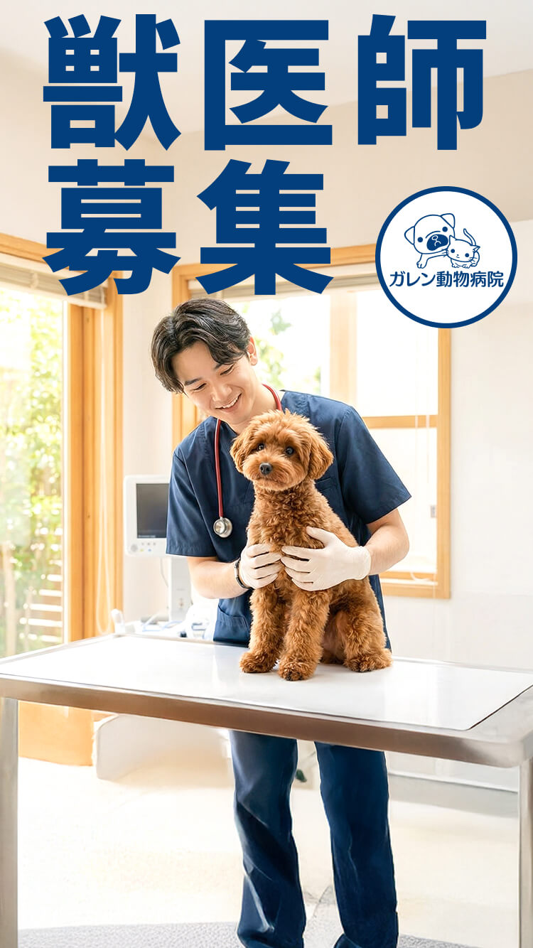 獣医師募集