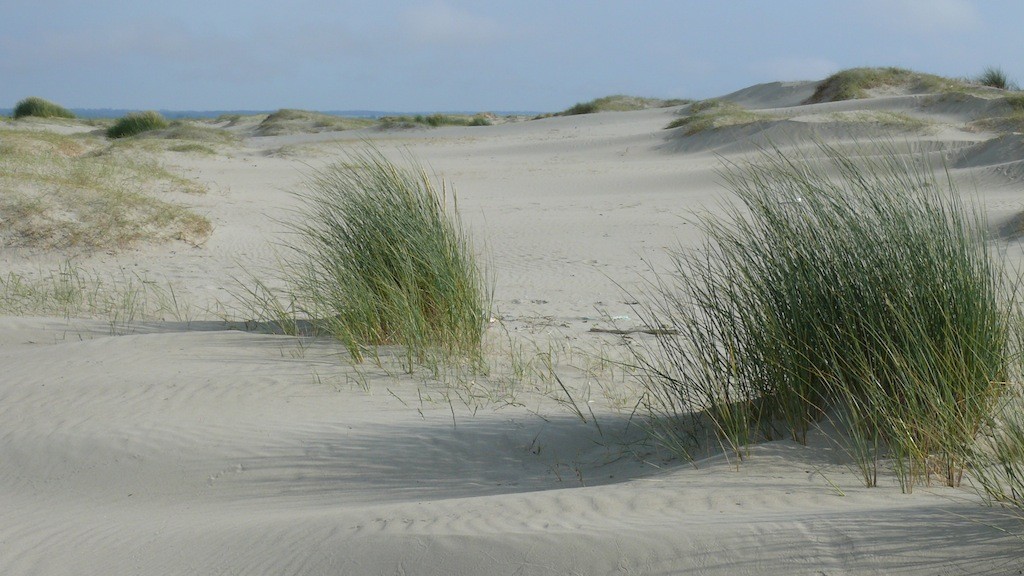 Merveilles de la Baie d'Authie Sud Sens Naturel Randonnée et