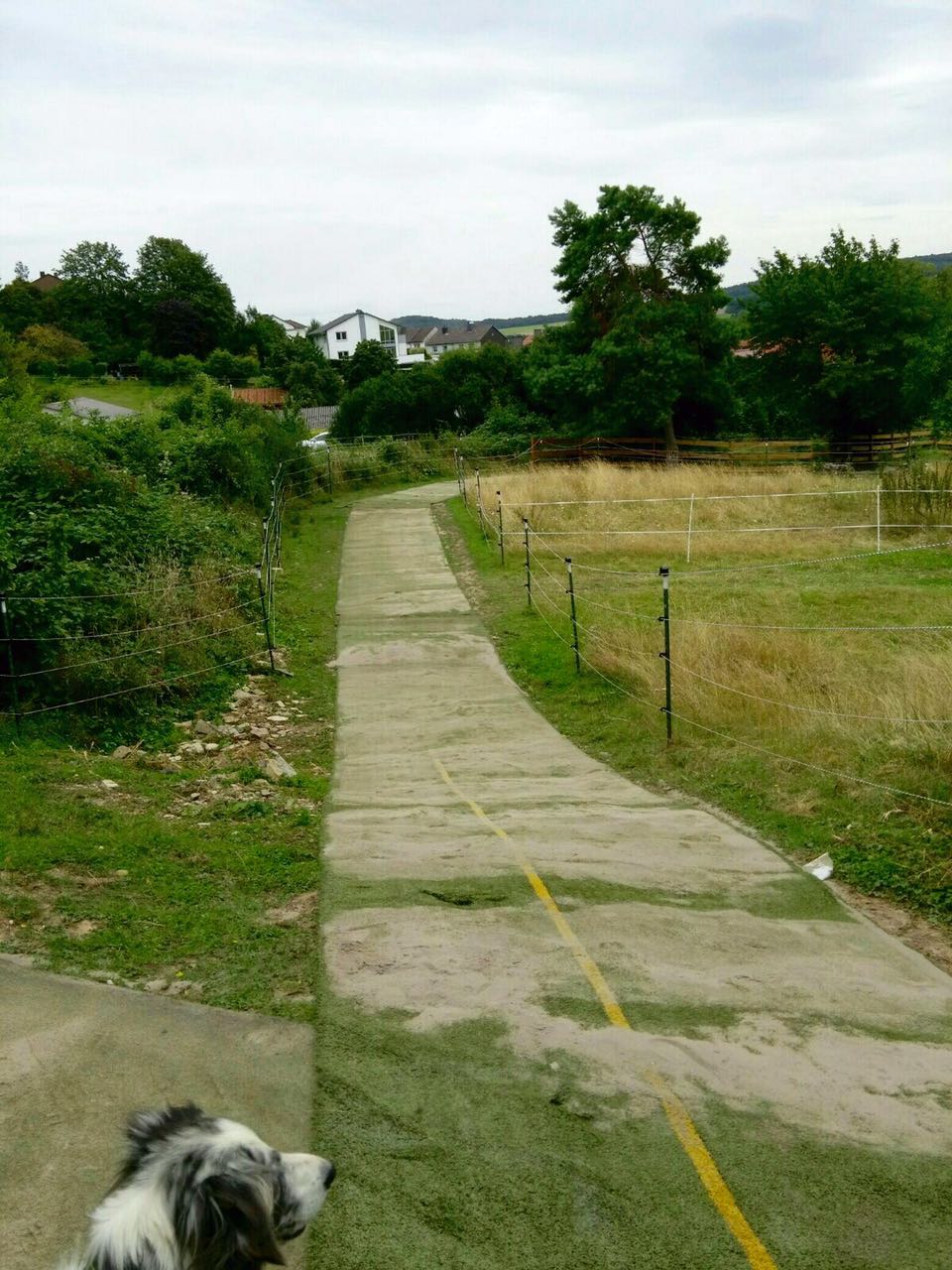 Zentrum für Pferdegesundheit - Paddocktrail: Kunstrasen