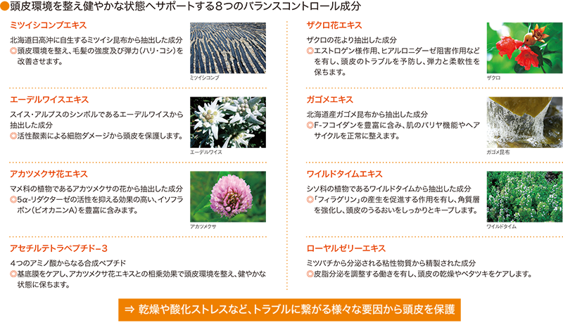 頭皮環境を整え健やかな状態へサポートする8つの成分の表