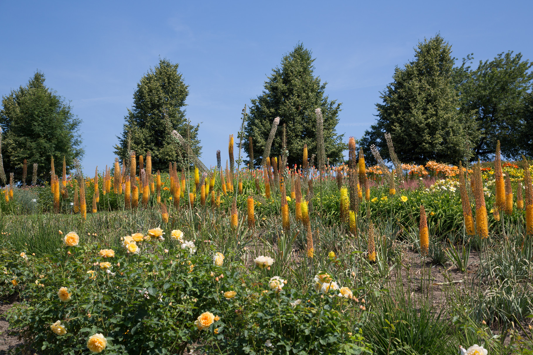 GARTEN DER GEHEIMNISSE Ferienwohnung Bad Schallerbach