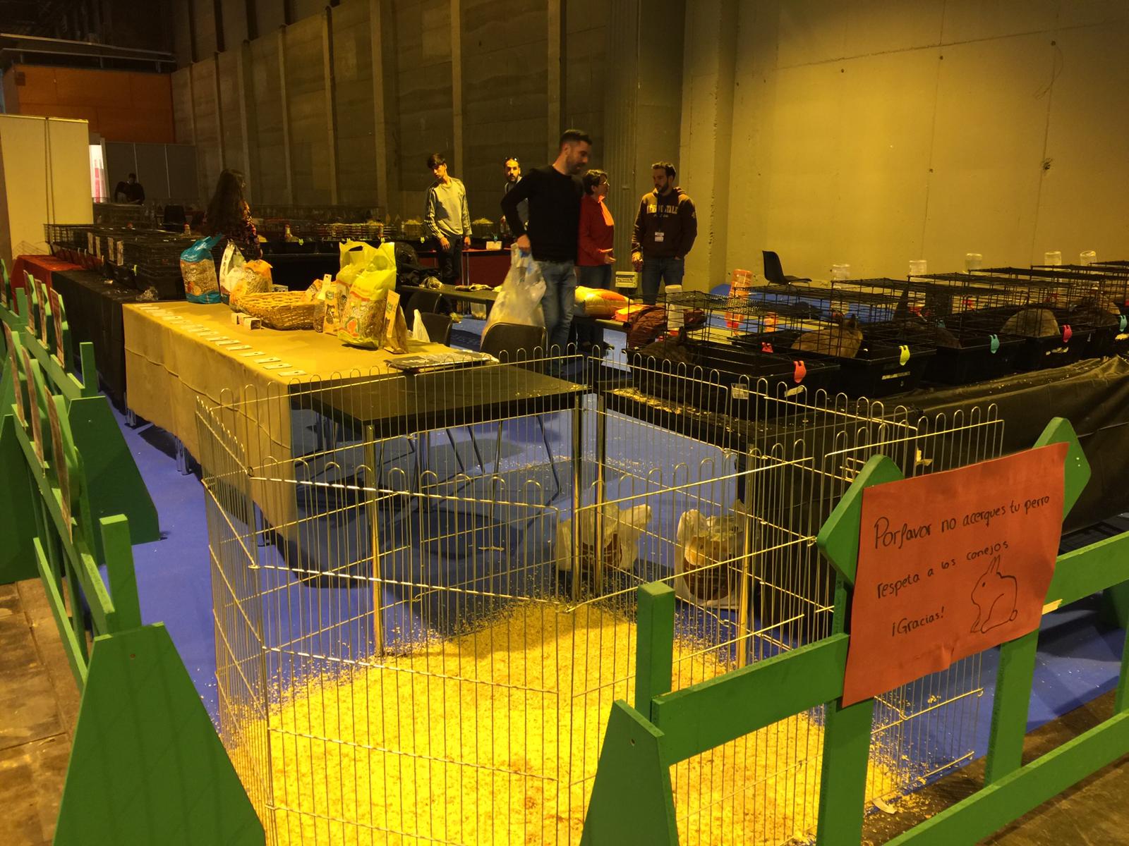 IV NATIONAL RABBIT SHOW AECCE ASNAC ASNAC (Asociación Nacional de