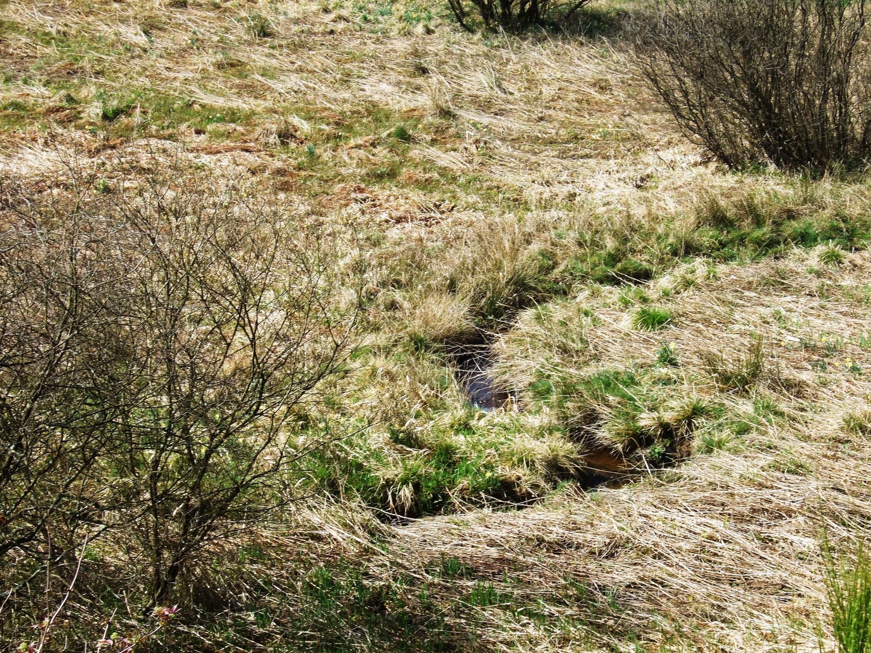 Flüxgräben wie vor Jahrhunderten (Foto: V. Gossmann)