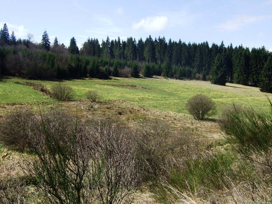 Wiedergewonnene Täler durch Naturschutzmaßnahmen (Foto: V. Gossmann)