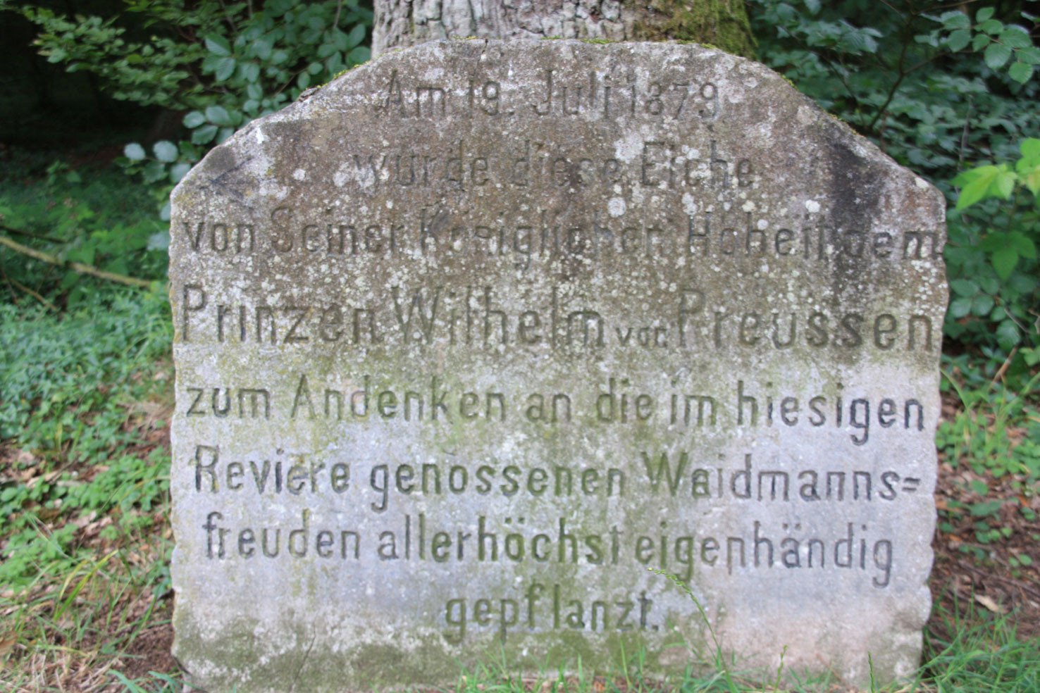 Gedenkstein an der Kaisereiche