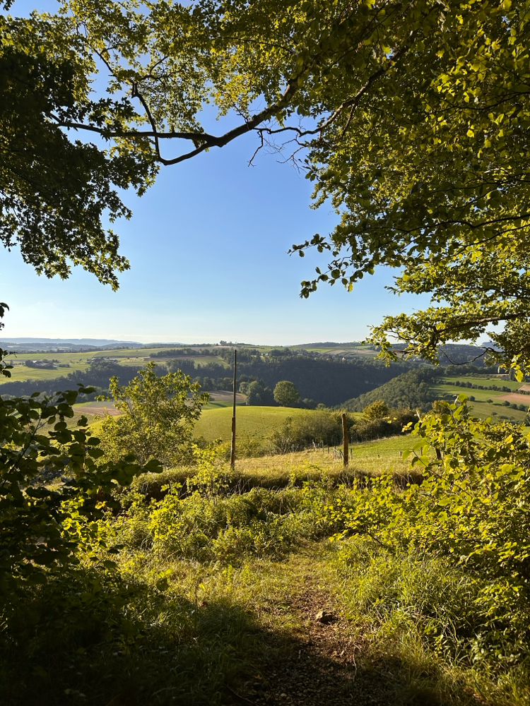 Aussicht von der Wannenweid.