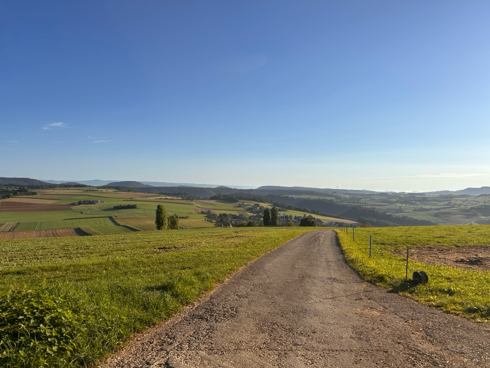 Wanderung oberhalb Buckten 