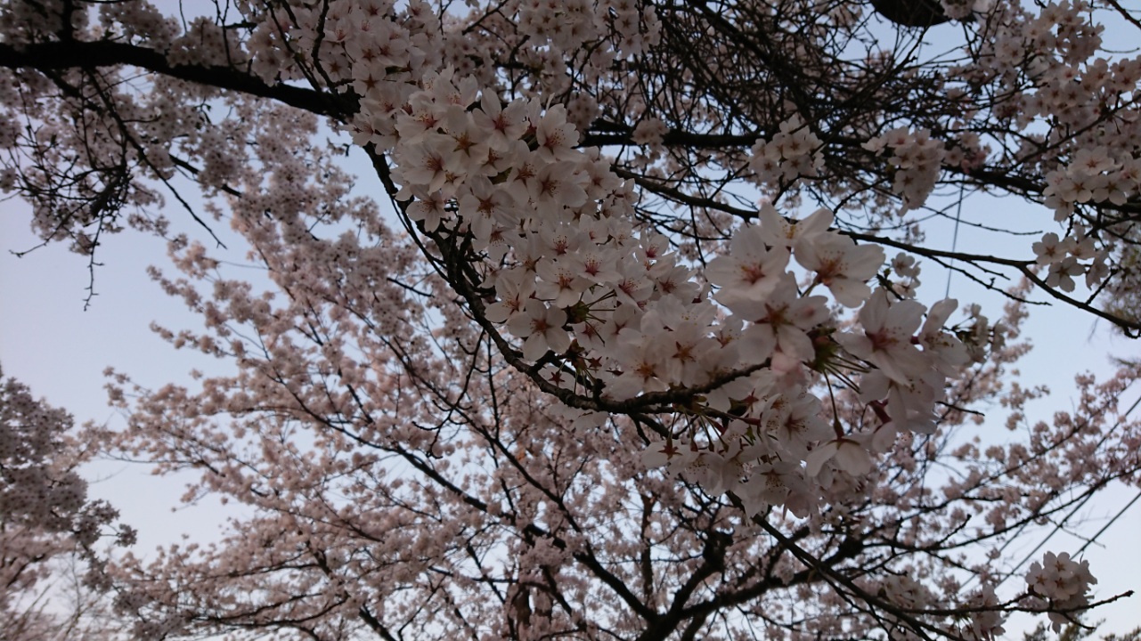 ほっこり♪
