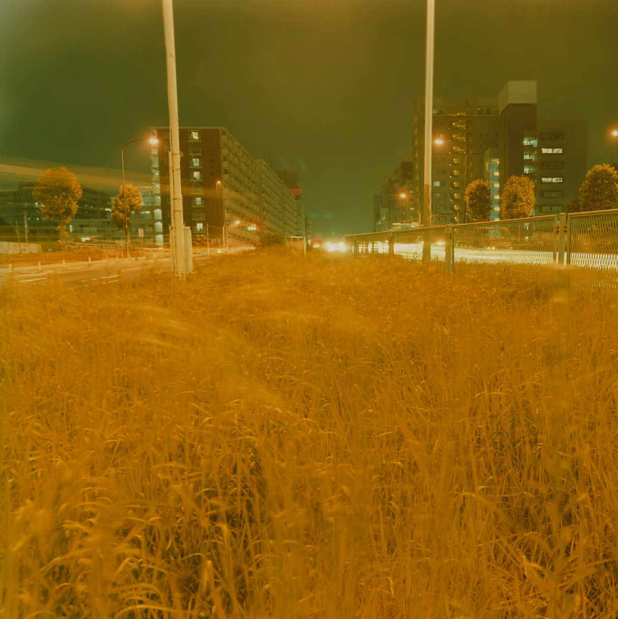 日本初の 泊昭雄 写真集 「la」 風景 植物 市街地 海 空