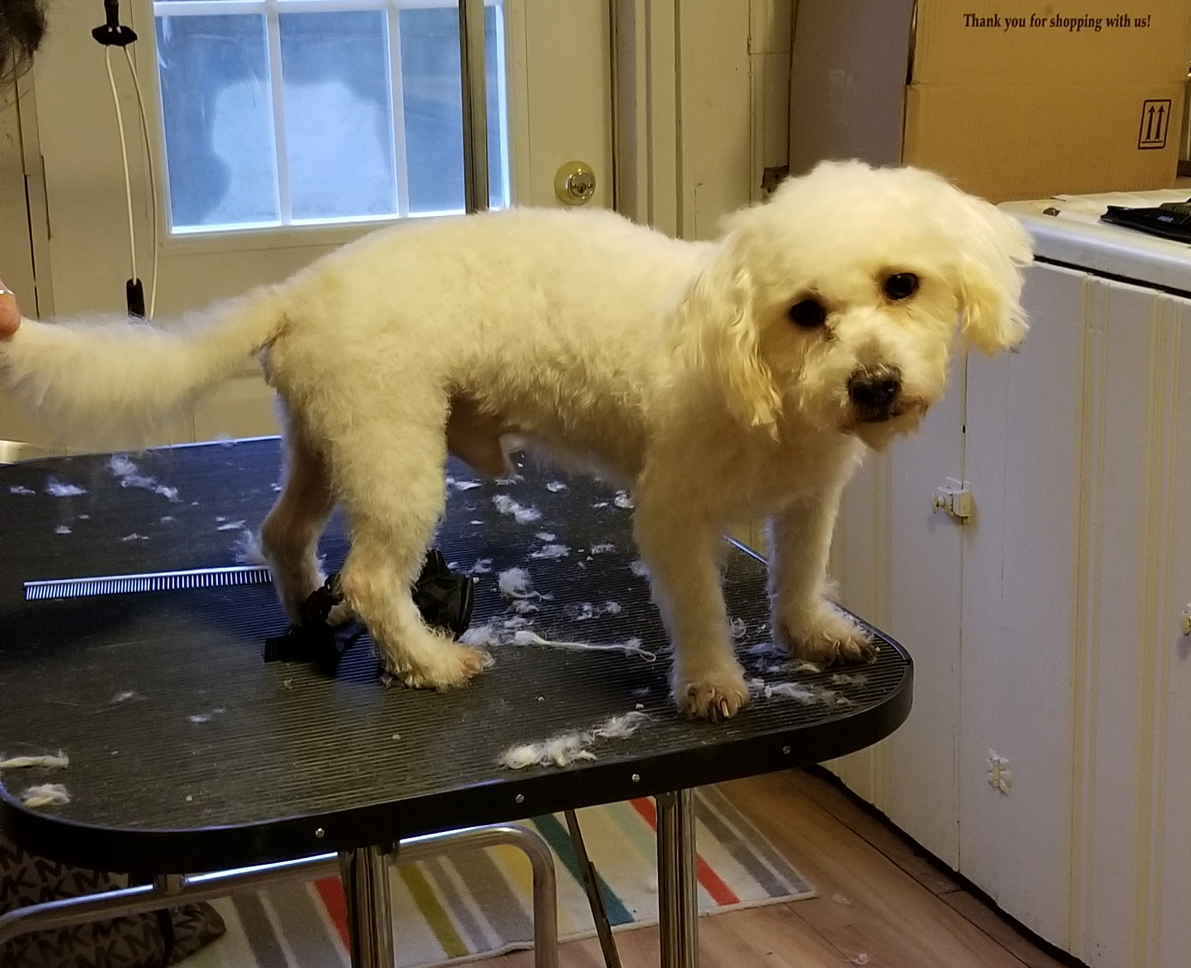 Max