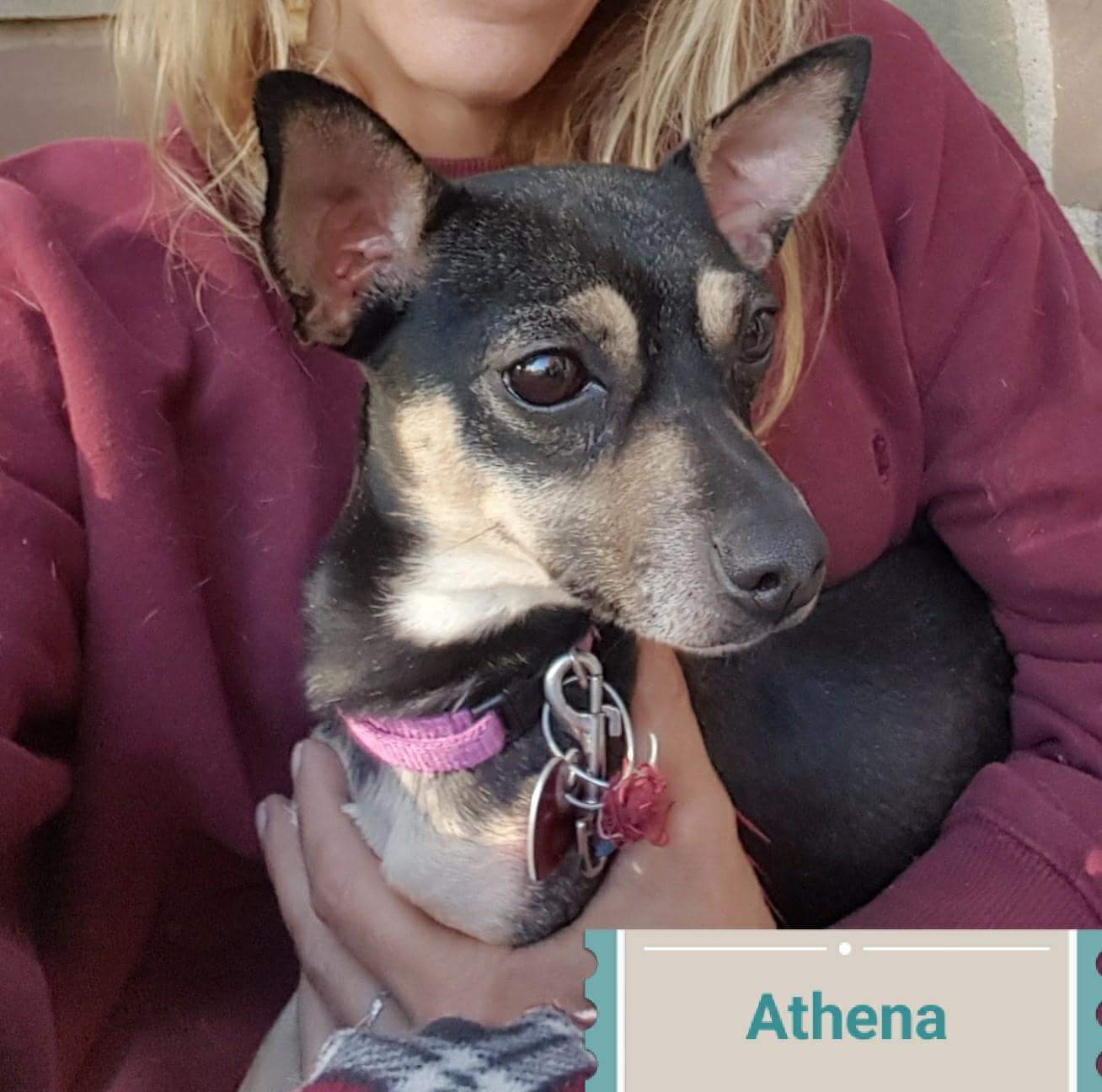 Athena