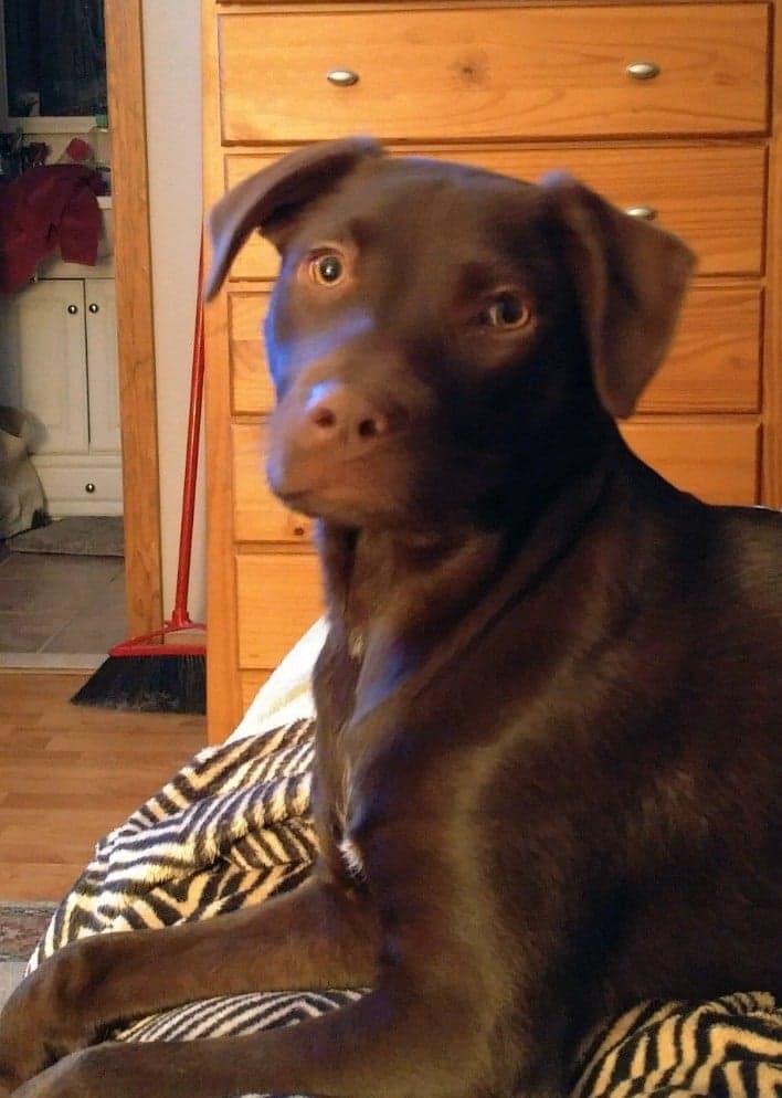 Abby