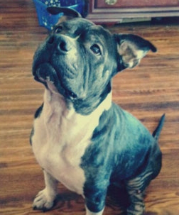 Jeter