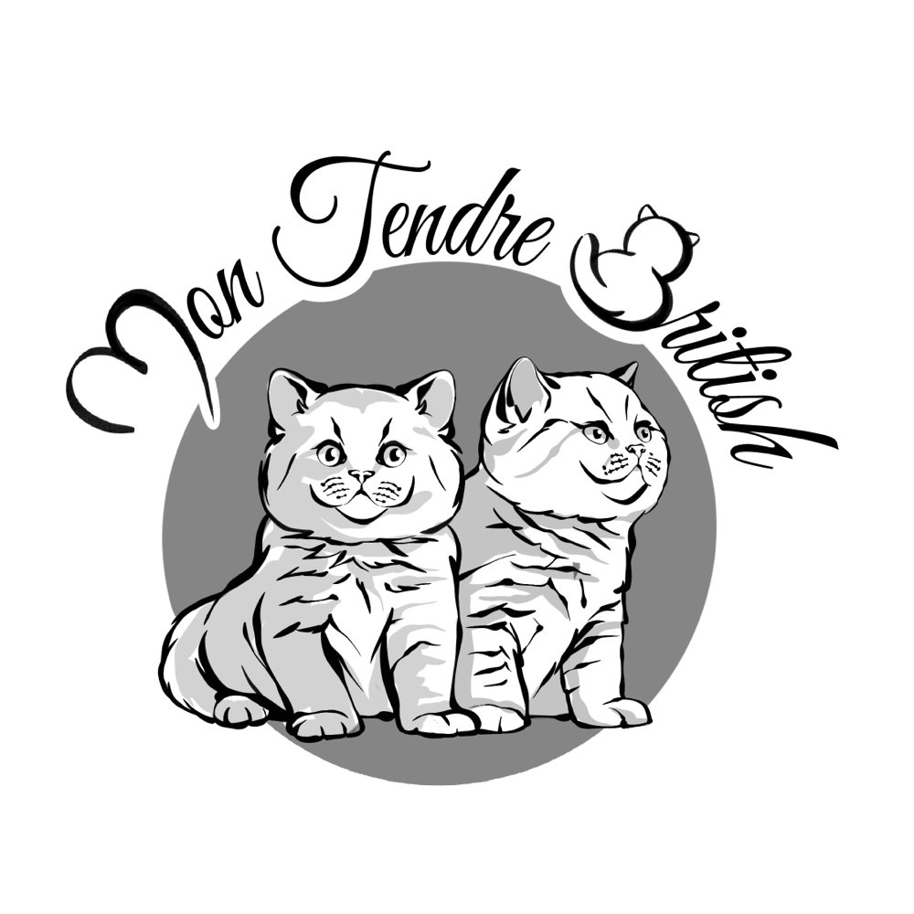 Les 5 chatons de Lolita et Mikado 💕