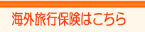 海外旅行保険、エイチエス損保、AIU海外