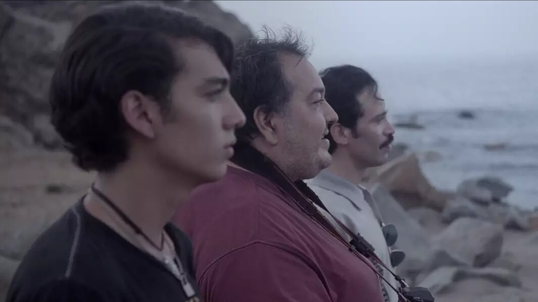 Walking Distance, Alejandro Guzmán