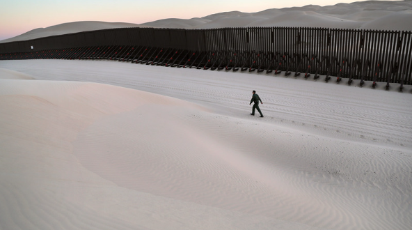 Veteran, Fernando Stein