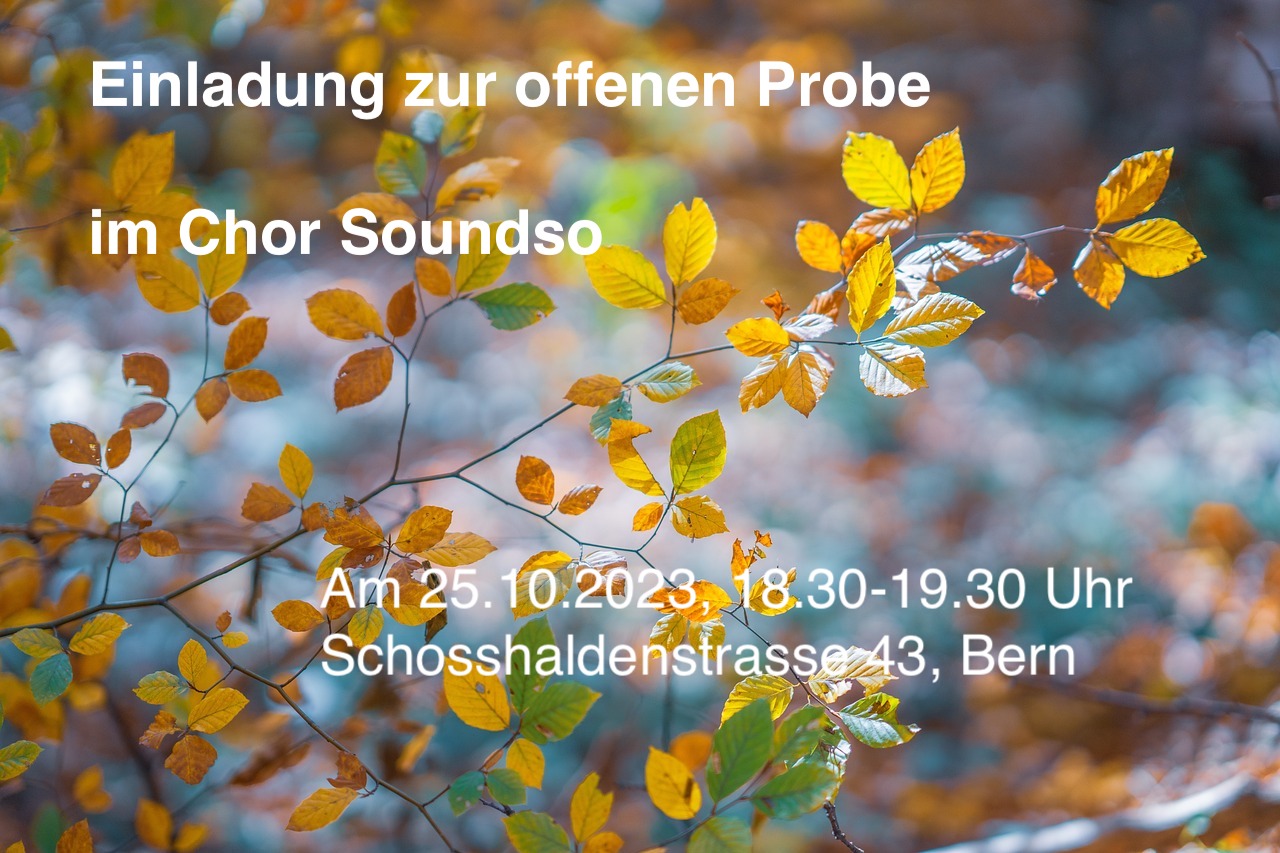 Schnuppern beim Chor Soundso