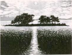 作品集（木版画　主な作品）湯浅浩　INFORMATION