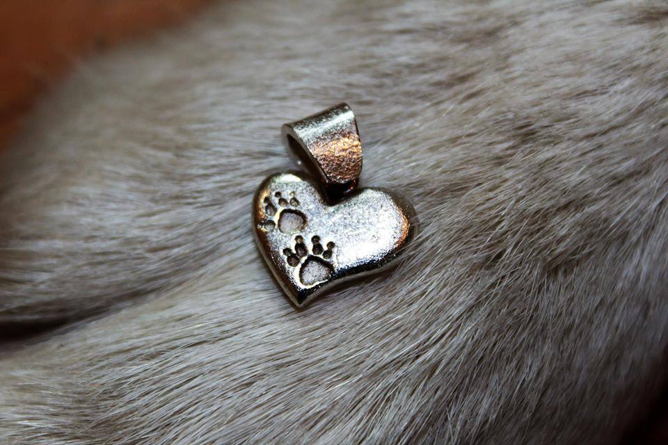 herzchen zur adoption Pro Animal Welfare Hamburg e.V.