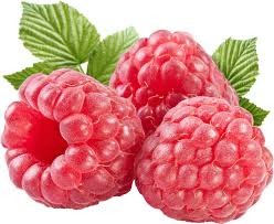 Welche erde für himbeeren Welche erde für himbeeren