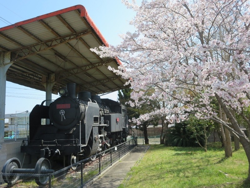 SLと桜