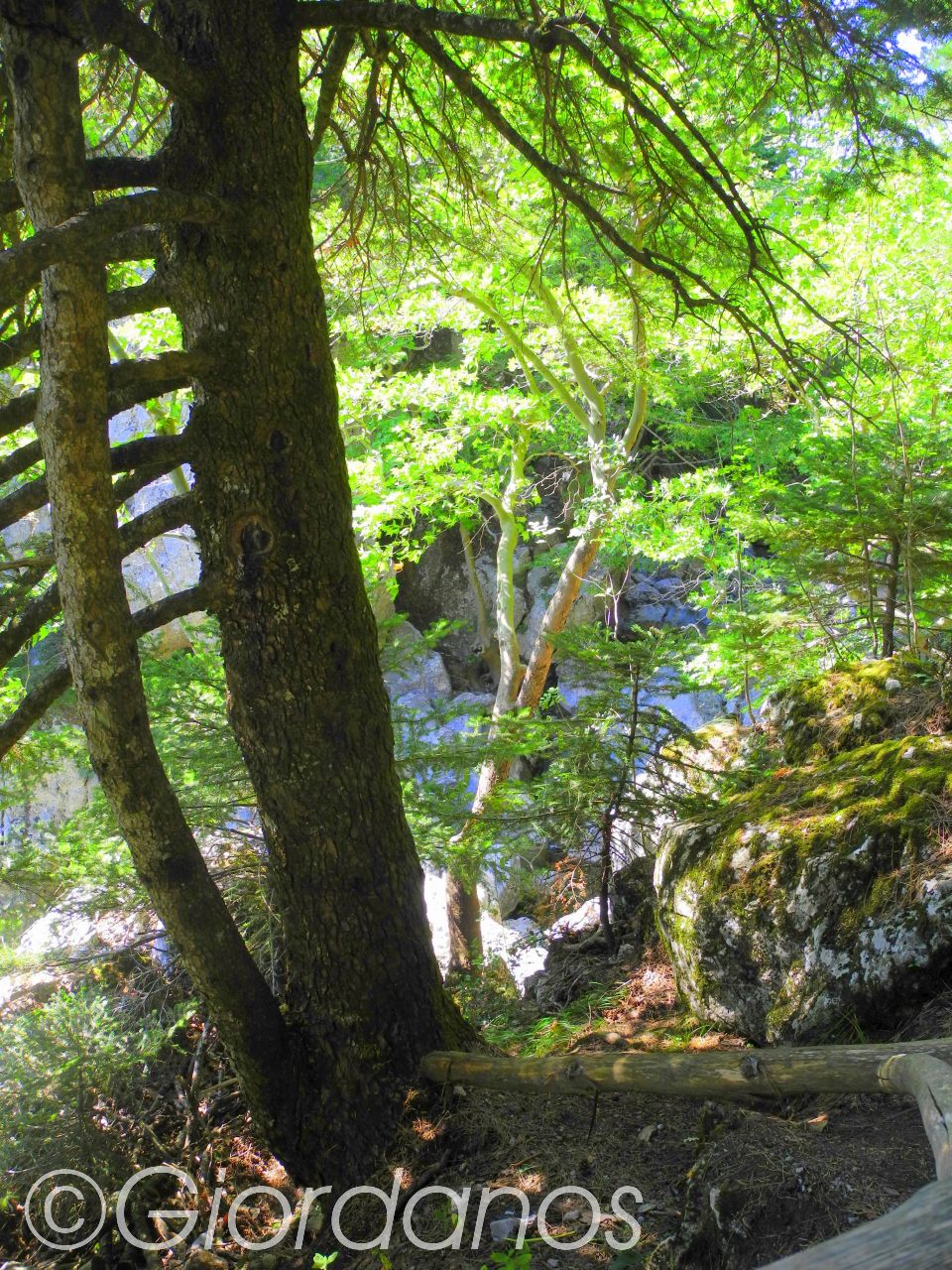 Drimonas Evia Griechenland-traumhafte Natur rund um die Wasserfälle