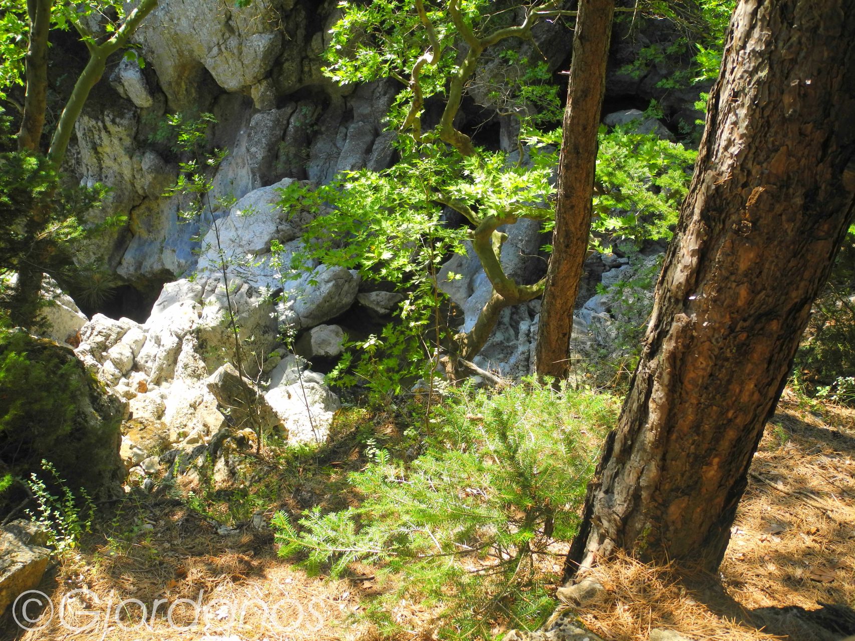 Drimonas Evia Griechenland-traumhafte Natur rund um die Wasserfälle