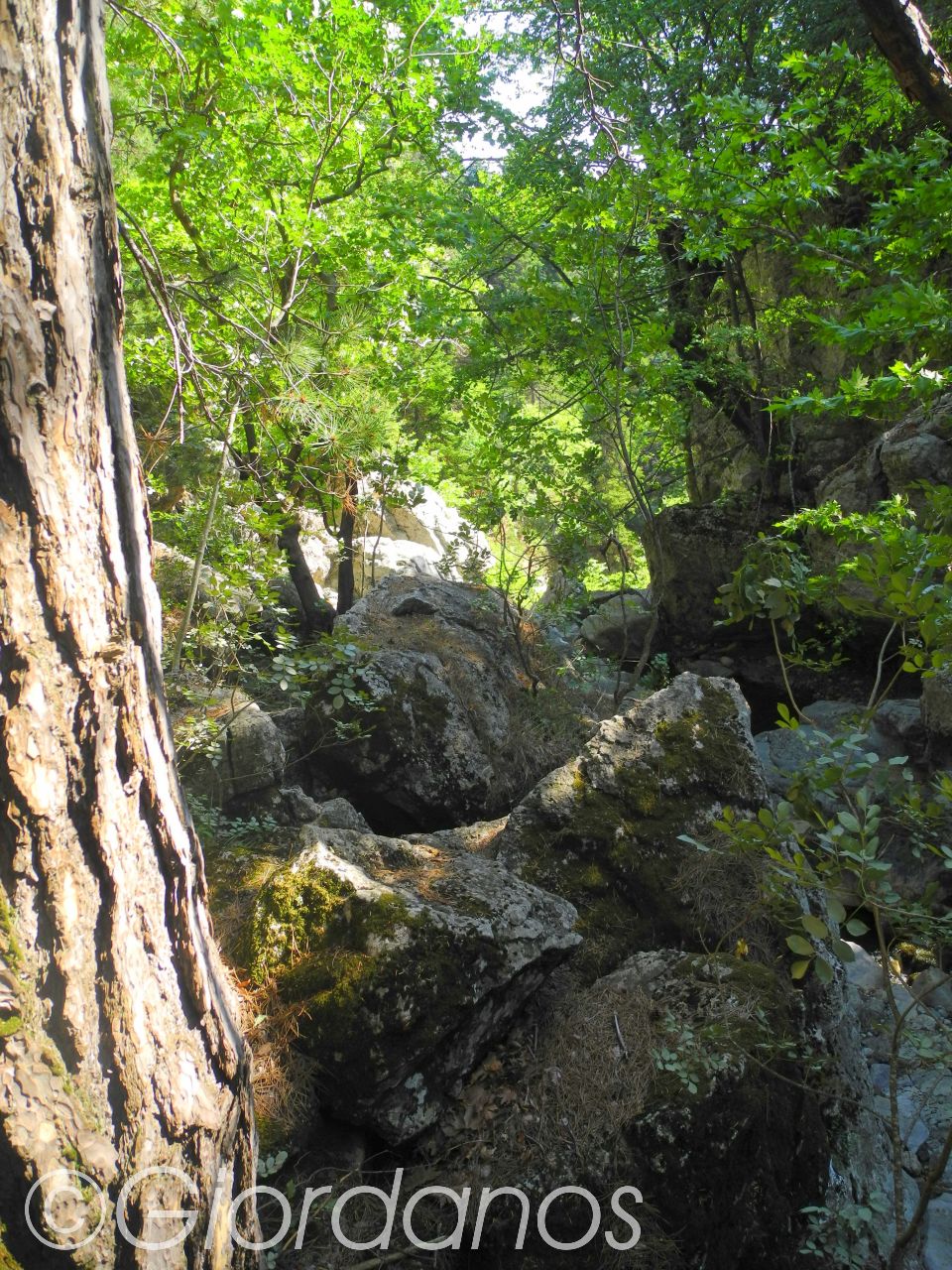 Drimonas Evia Griechenland-traumhafte Natur rund um die Wasserfälle