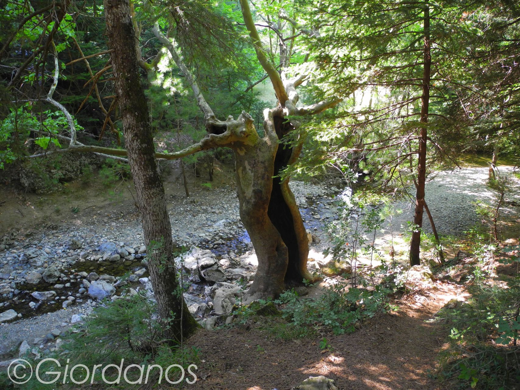 Drimonas Evia Griechenland-traumhafte Natur rund um die Wasserfälle