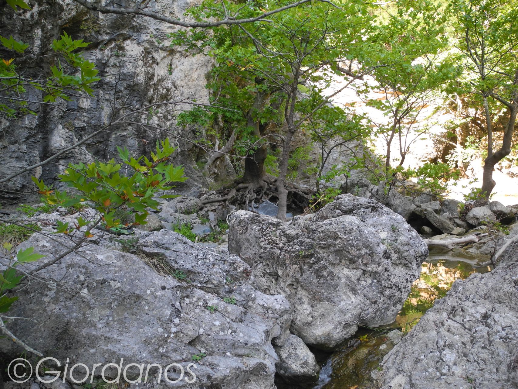 Drimonas Evia Griechenland-traumhafte Natur rund um die Wasserfälle