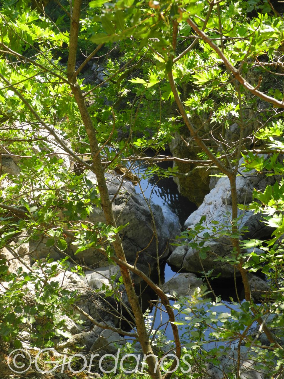 Drimonas Evia Griechenland-traumhafte Natur rund um die Wasserfälle