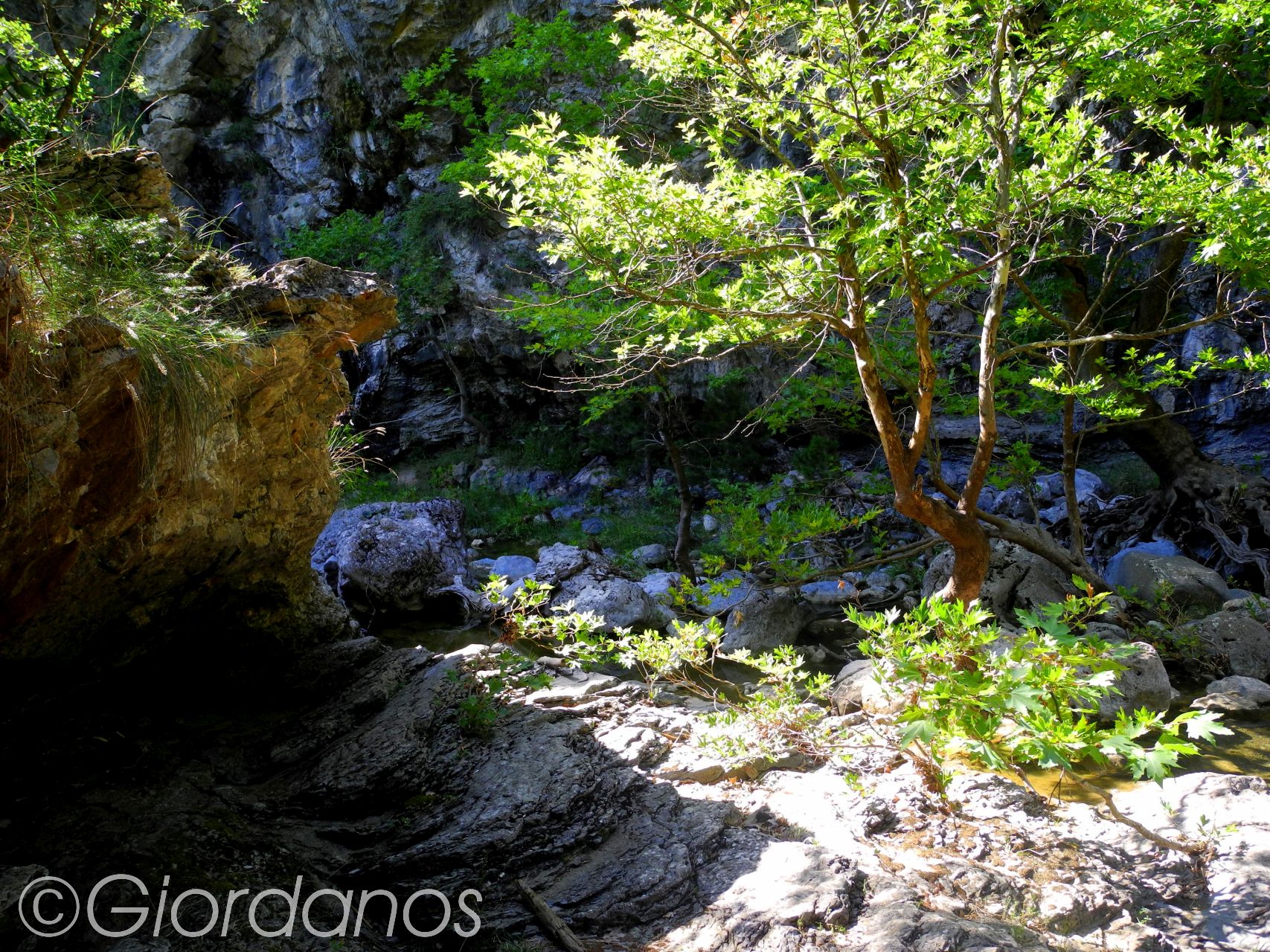 Drimonas Evia Griechenland-traumhafte Natur rund um die Wasserfälle