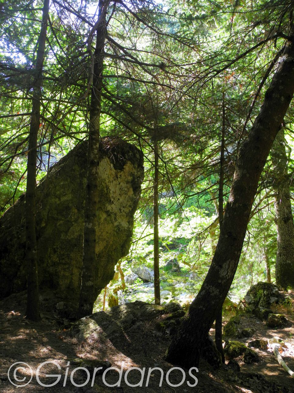 Drimonas Evia Griechenland-traumhafte Natur rund um die Wasserfälle
