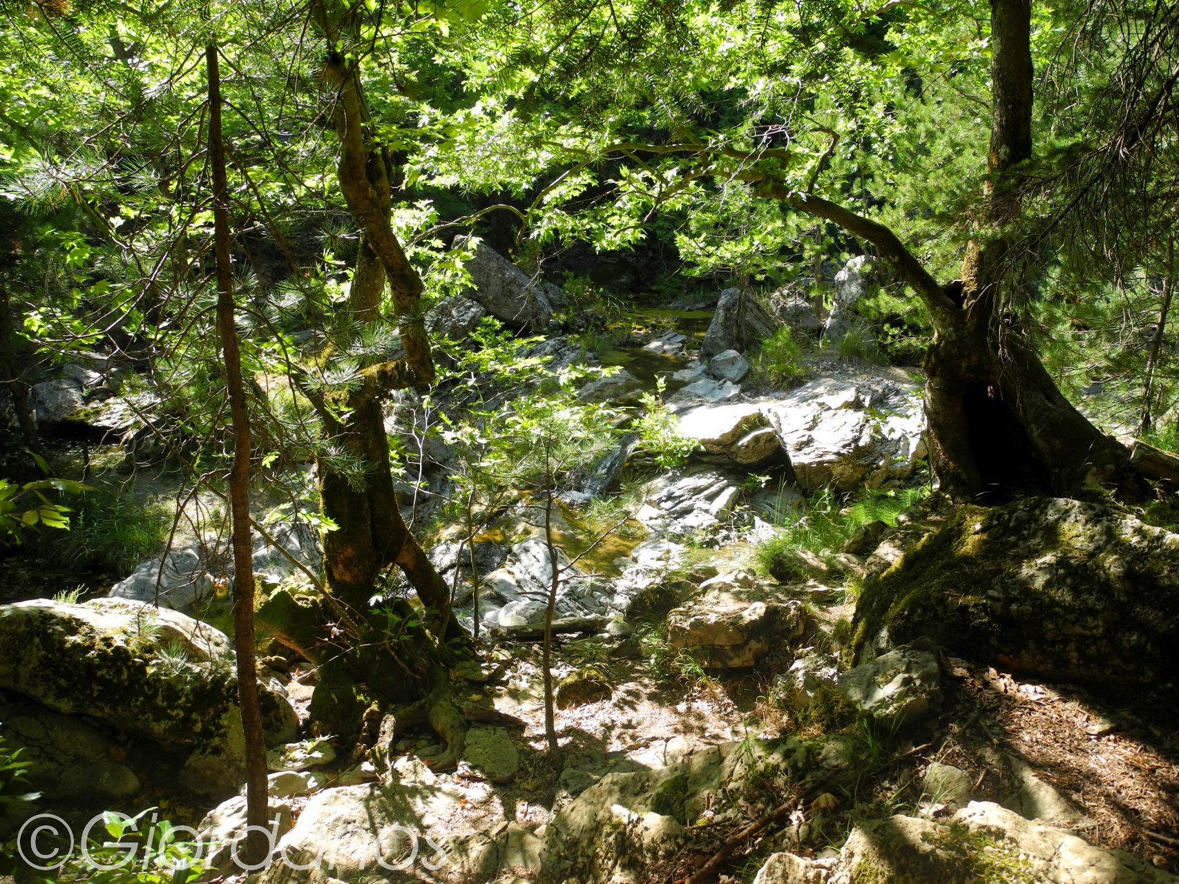 Drimonas Evia Griechenland-traumhafte Natur rund um die Wasserfälle