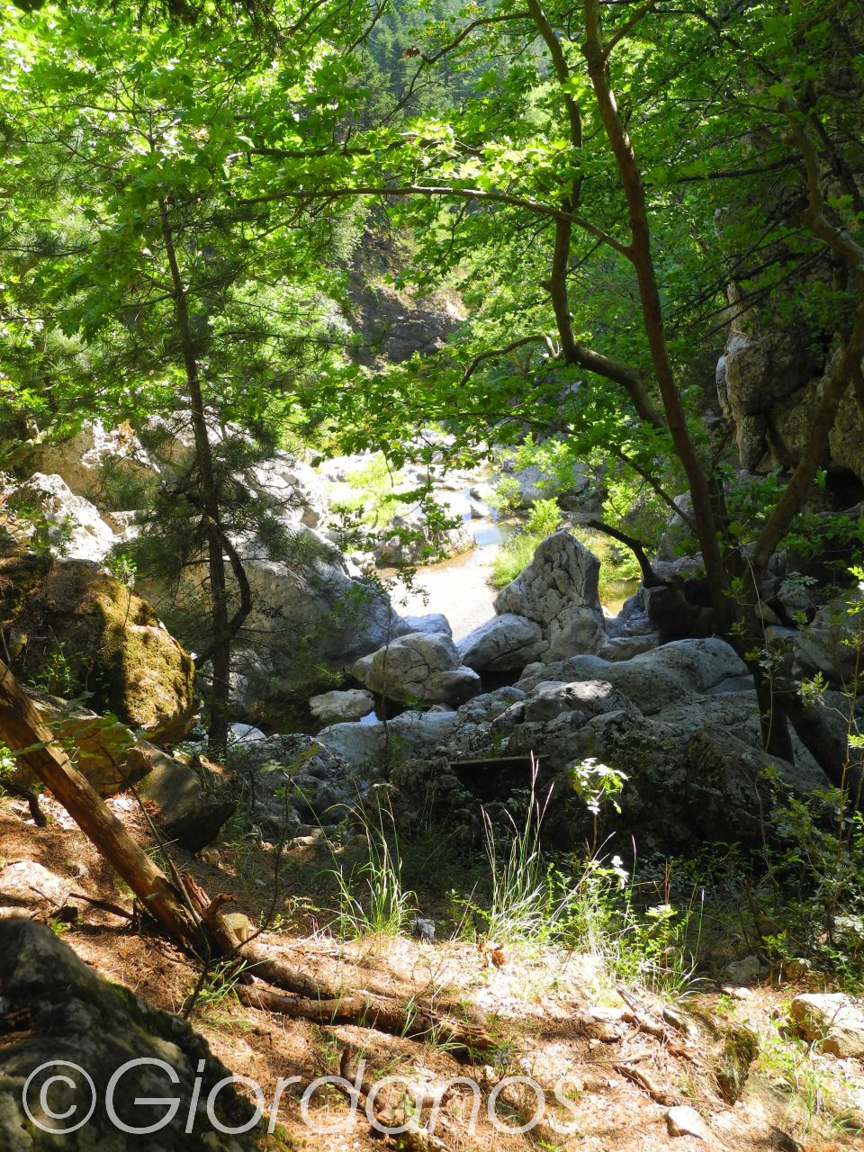 Drimonas Evia Griechenland-traumhafte Natur rund um die Wasserfälle