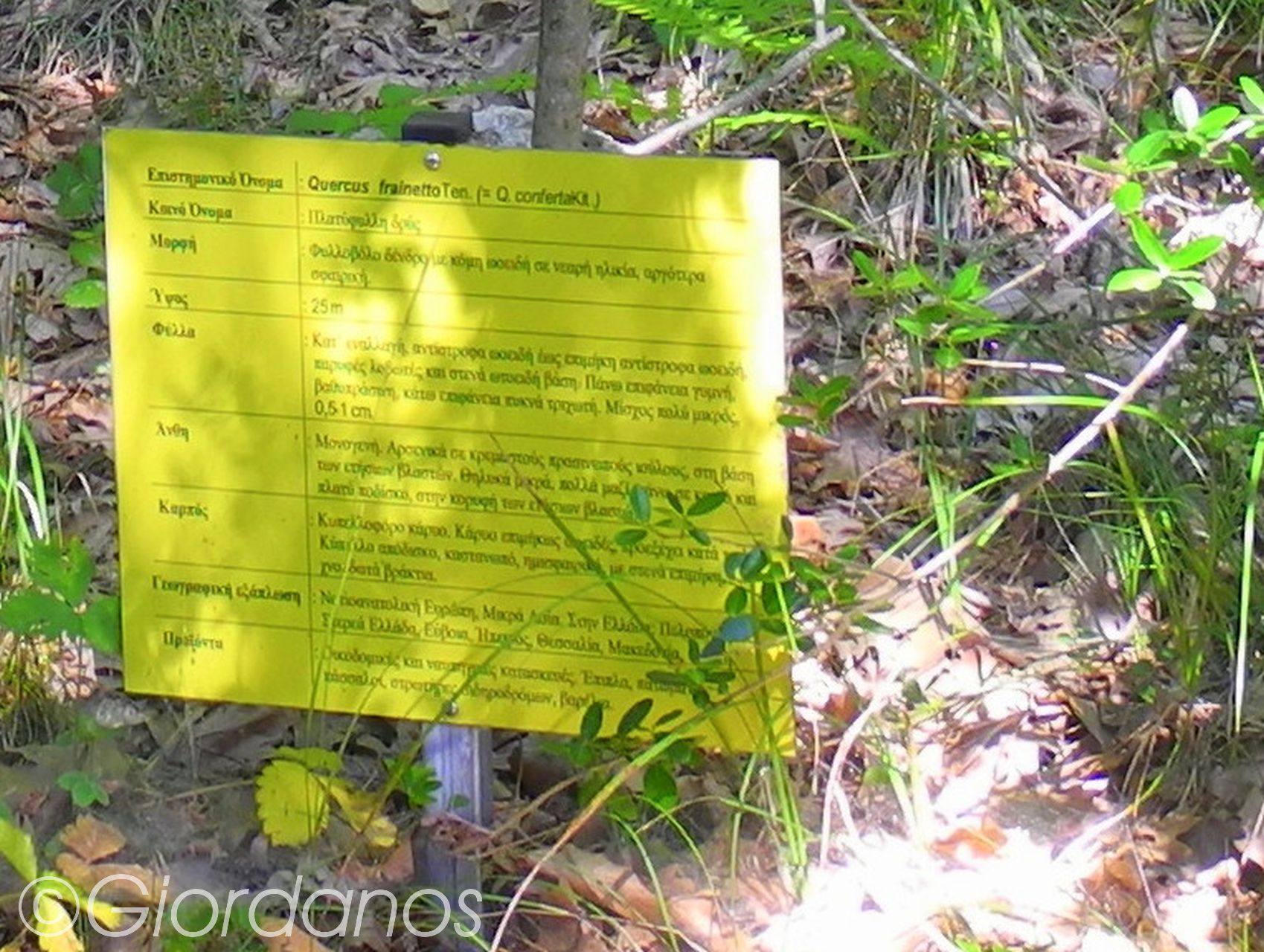 Drimonas Evia Griechenland-traumhafte Natur rund um die Wasserfälle