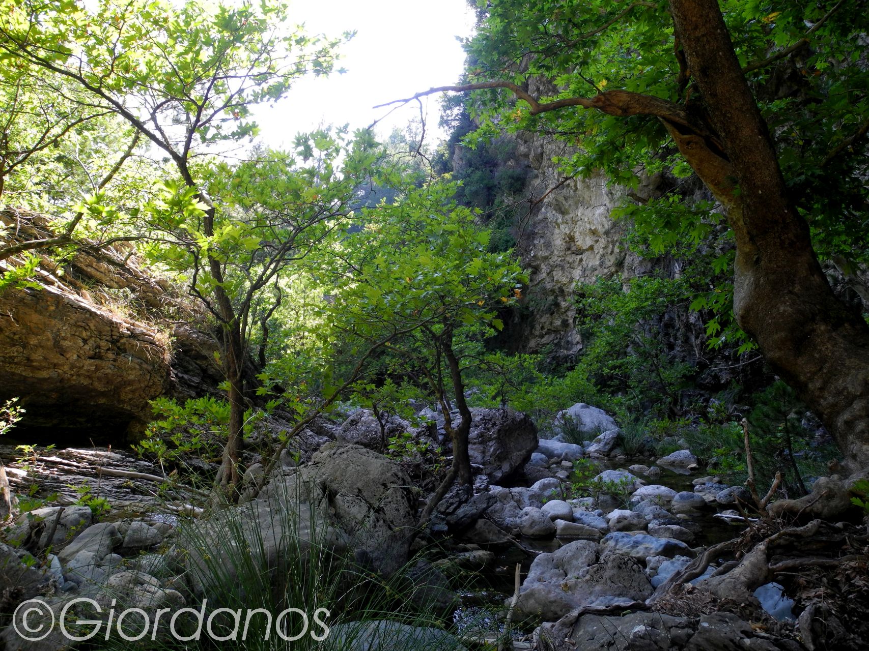 Drimonas Evia Griechenland-traumhafte Natur rund um die Wasserfälle